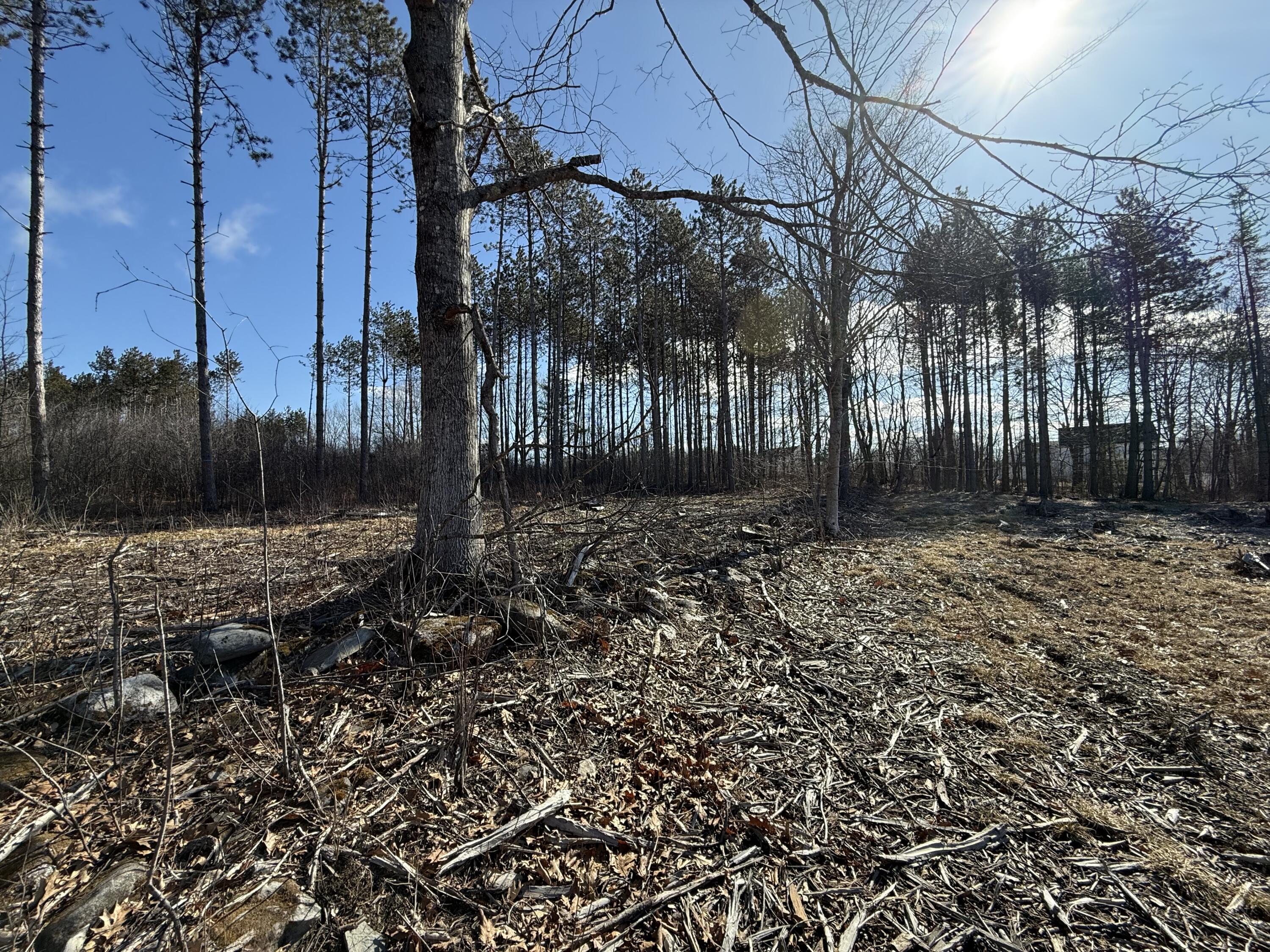 9 Patterson Road Hampden, ME 04444 - Photo 6 of 13 Cleared Area