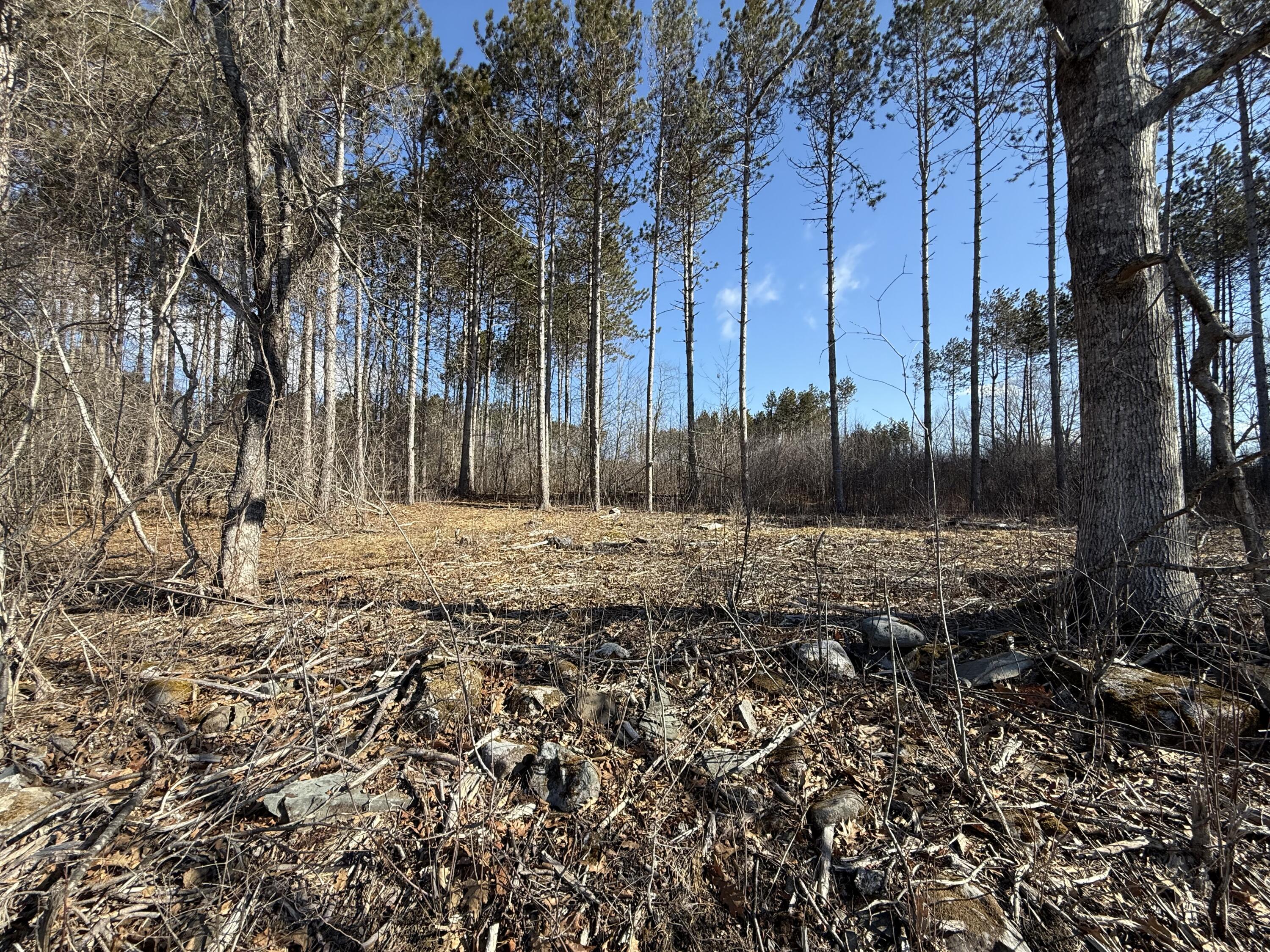 9 Patterson Road Hampden, ME 04444 - Photo 7 of 13 Clearing