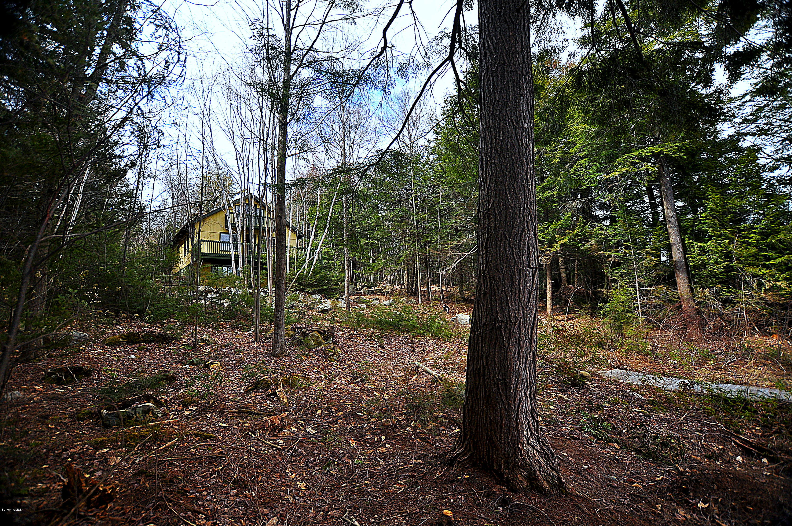 462 East Otis Road Tolland, MA 01034 - Photo 13 of 29 a view of a forest