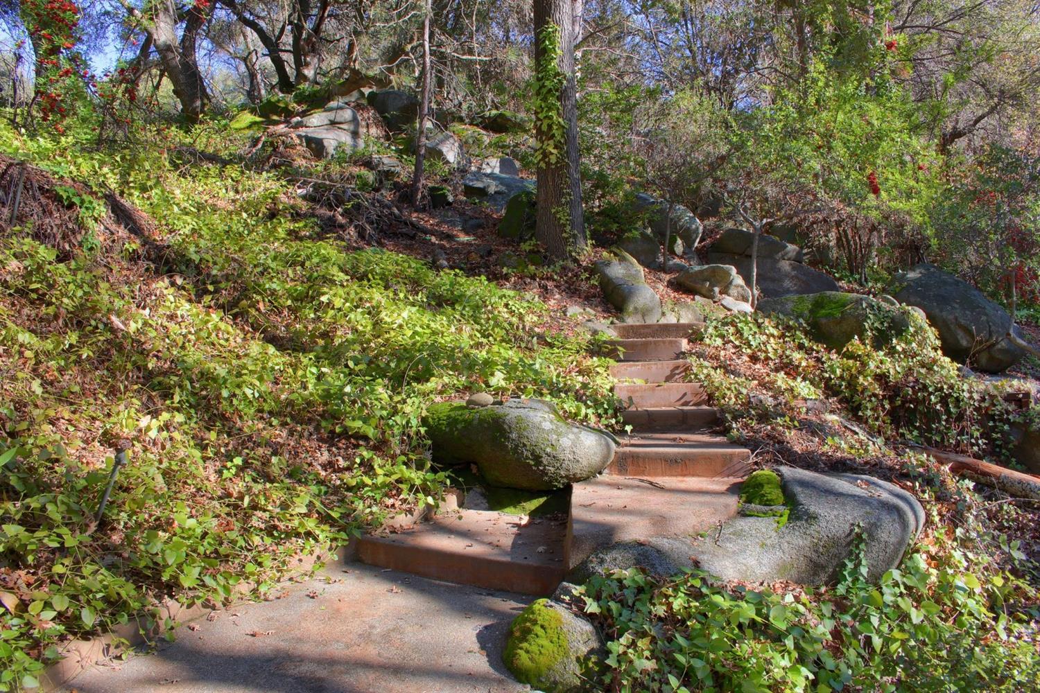 50348 Hidden Falls Road Oakhurst, CA 93644 - Photo 13 of 37 Gallery Image 13