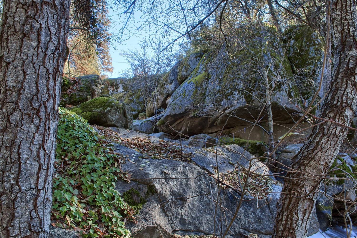 50348 Hidden Falls Road Oakhurst, CA 93644 - Photo 15 of 37 Gallery Image 15