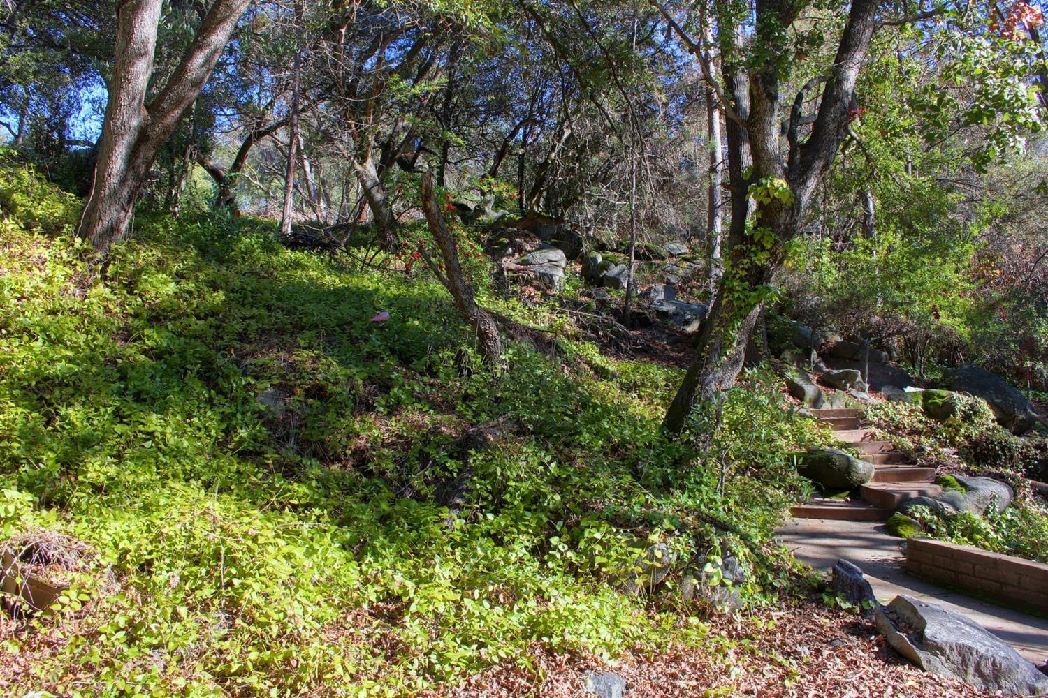 50348 Hidden Falls Road Oakhurst, CA 93644 - Photo 16 of 37 Gallery Image 16