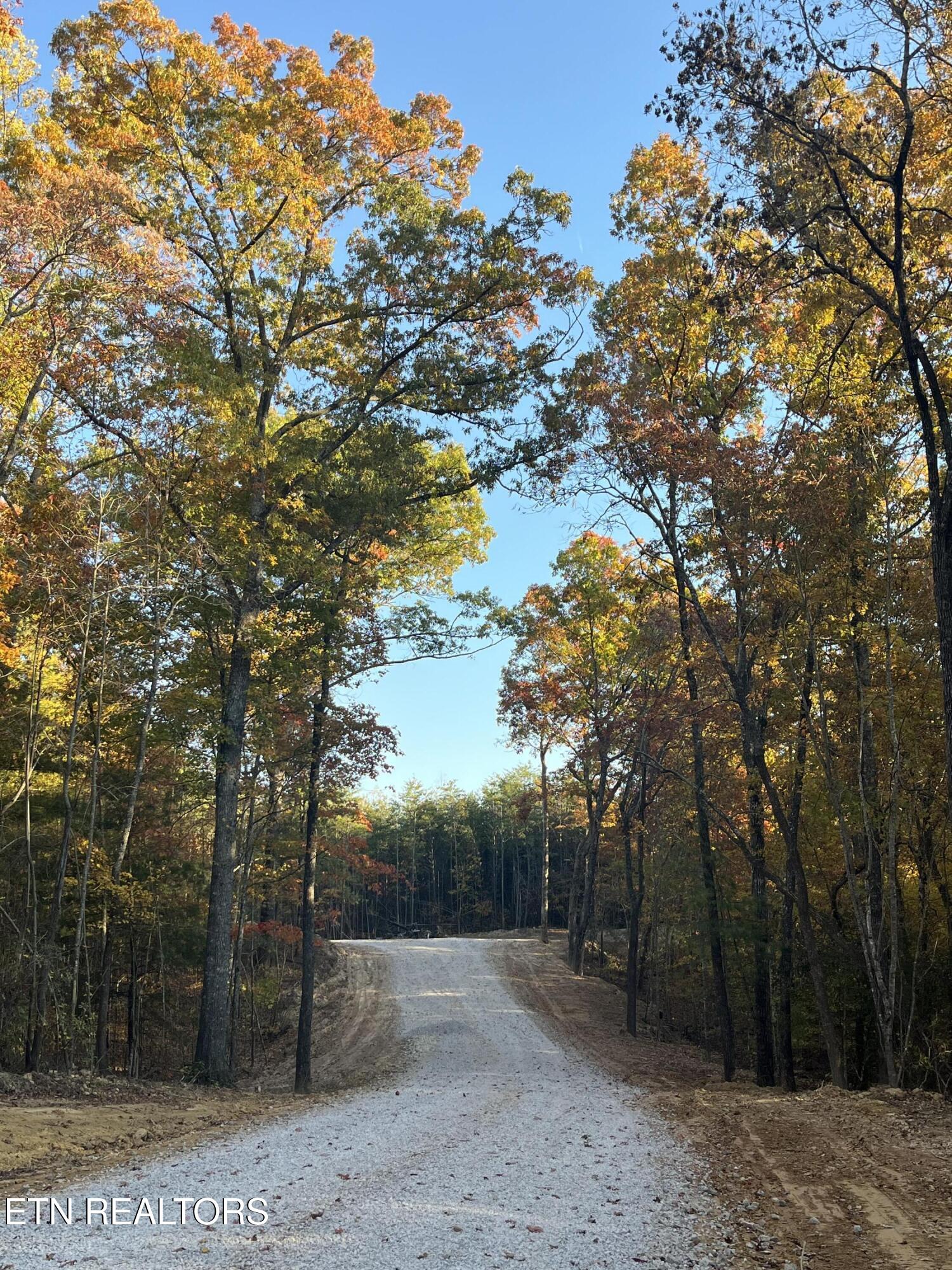 109 Cherokee Path Tellico Plains, TN 37385 - Photo 11 of 59 IMG_1732
