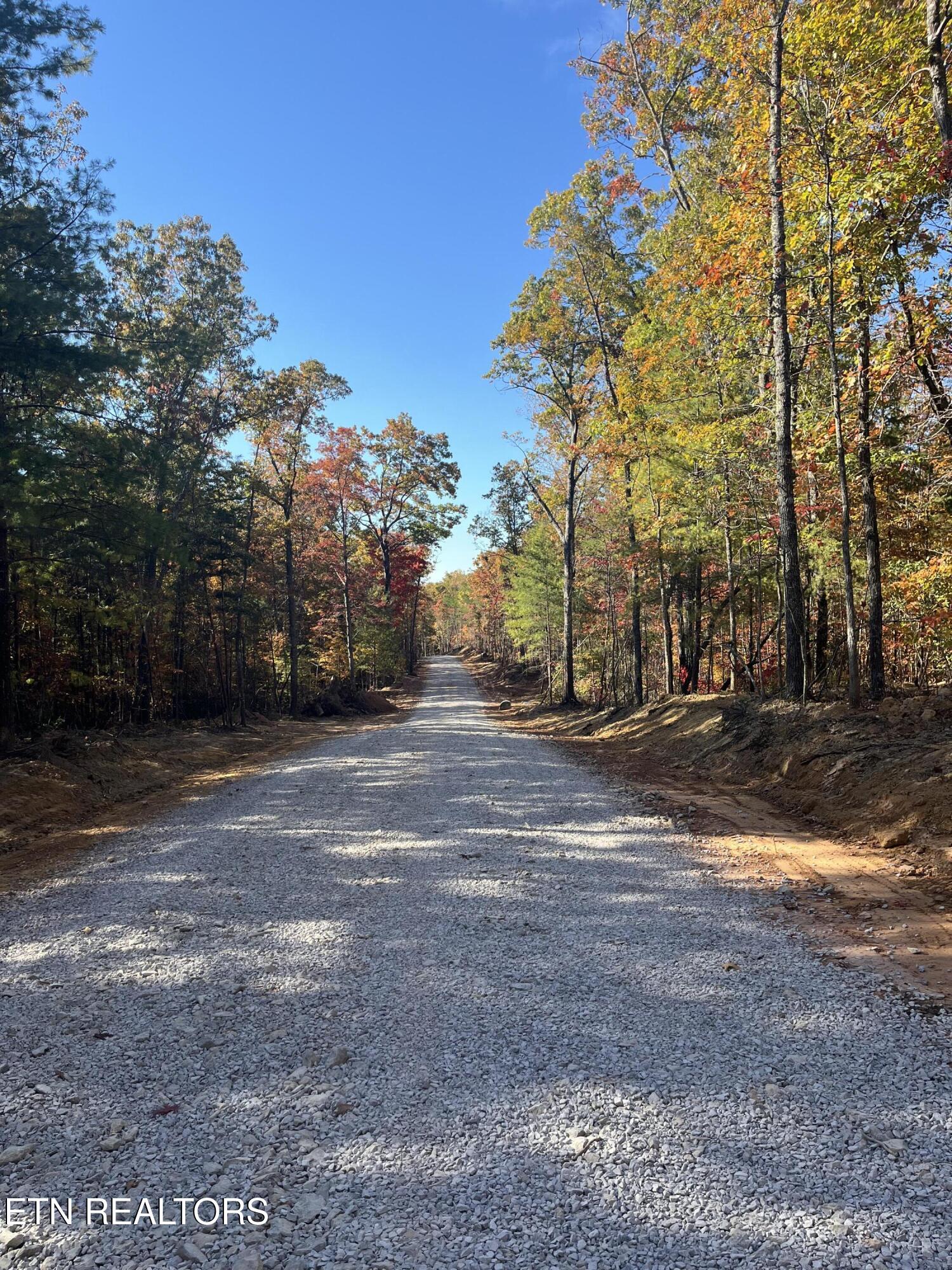109 Cherokee Path Tellico Plains, TN 37385 - Photo 22 of 59 IMG_1654