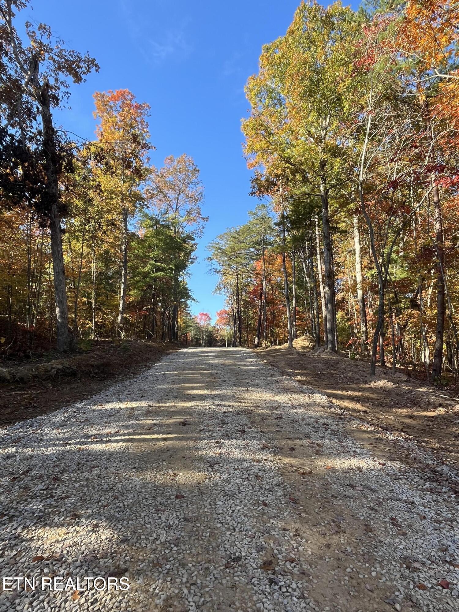 109 Cherokee Path Tellico Plains, TN 37385 - Photo 26 of 59 IMG_1617
