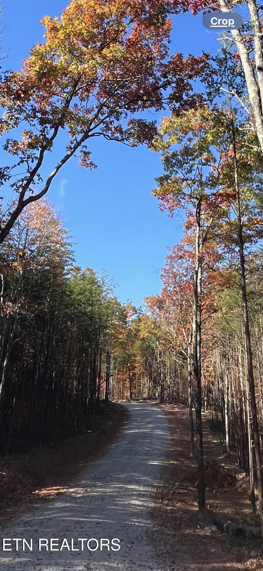 109 Cherokee Path Tellico Plains, TN 37385 - Photo 34 of 59 IMG_1700