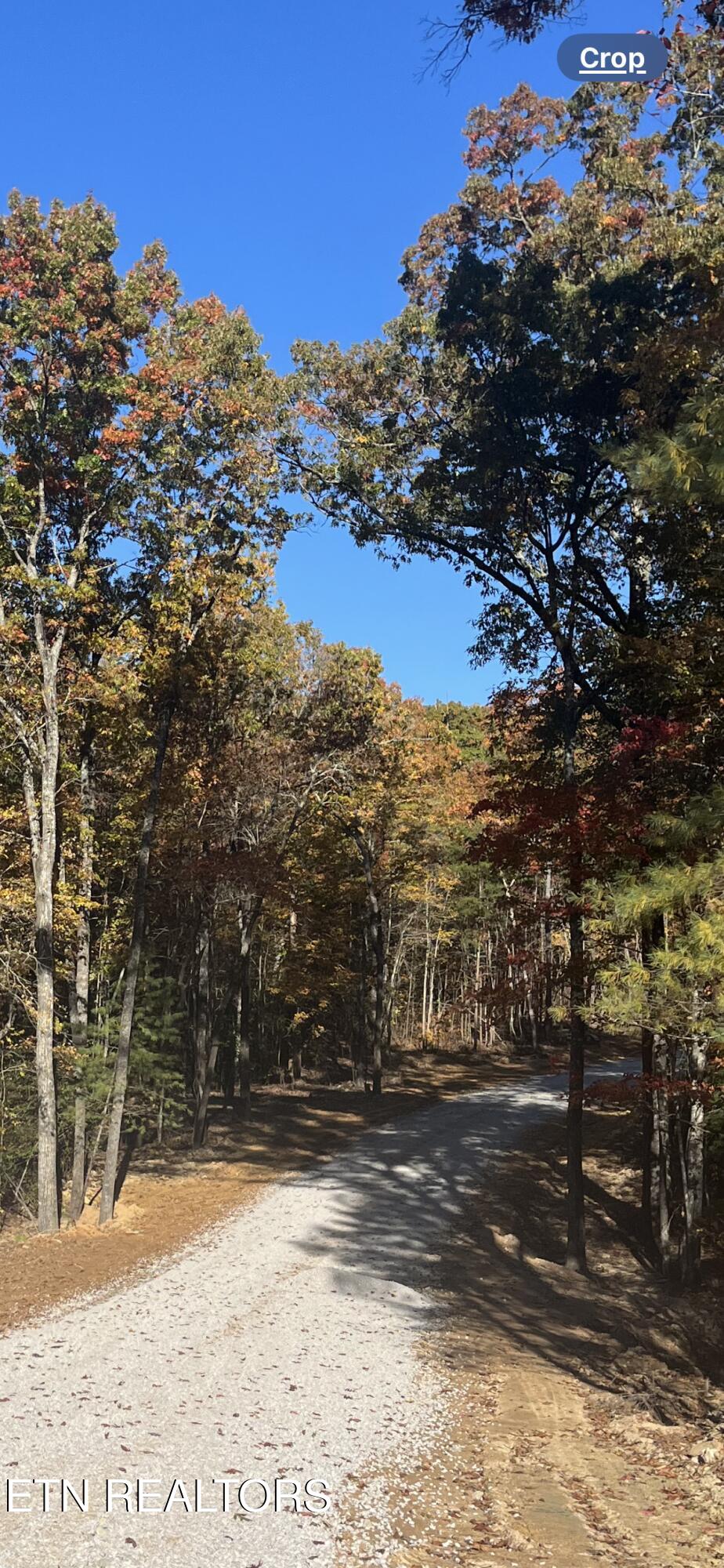 109 Cherokee Path Tellico Plains, TN 37385 - Photo 36 of 59 IMG_1694