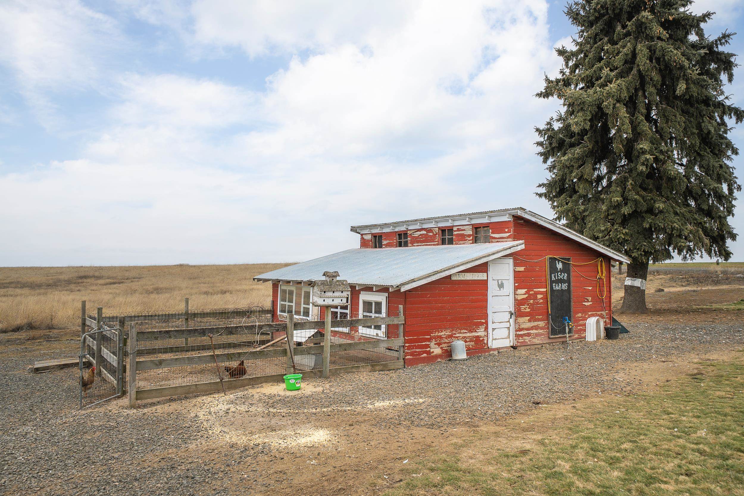 33540 Manke Road Sprague, WA 99032 - Photo 26 of 46 Gallery Image 26
