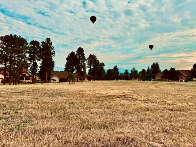a view of open space with mountain in the background