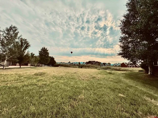 a view of a lake from a yard
