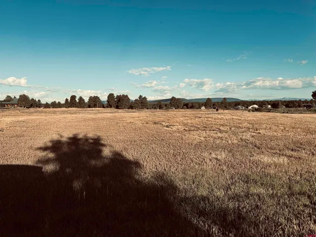 $125,000 | 31 Capstone Circle, Pagosa Springs, CO 81147