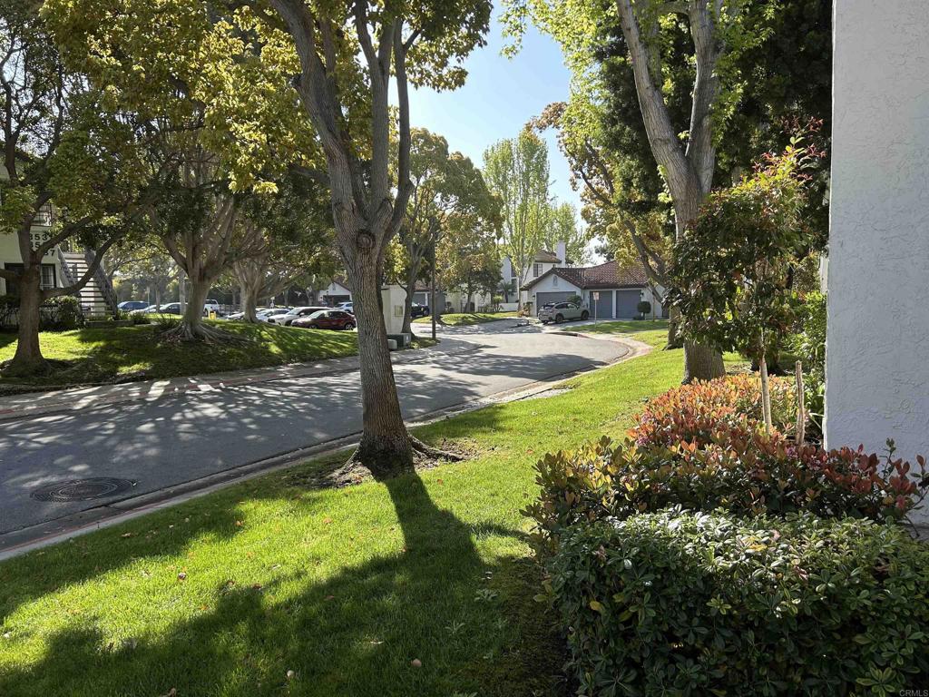 3546 Voyager Circle Carmel Valley, CA 92130 - Photo 3 of 28 a view of a backyard with large trees