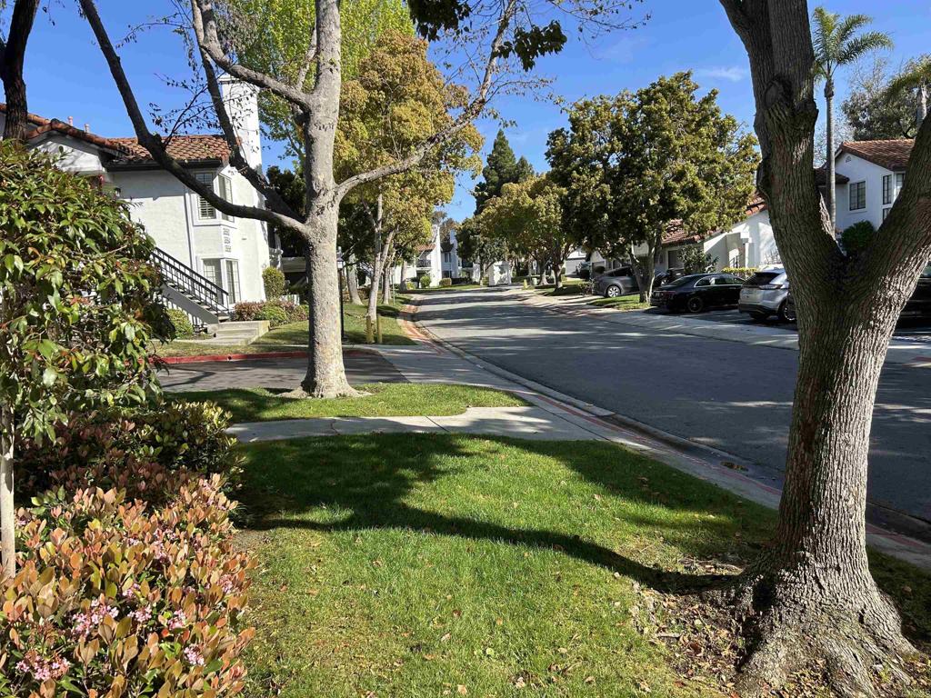 3546 Voyager Circle Carmel Valley, CA 92130 - Photo 4 of 28 a view of yard