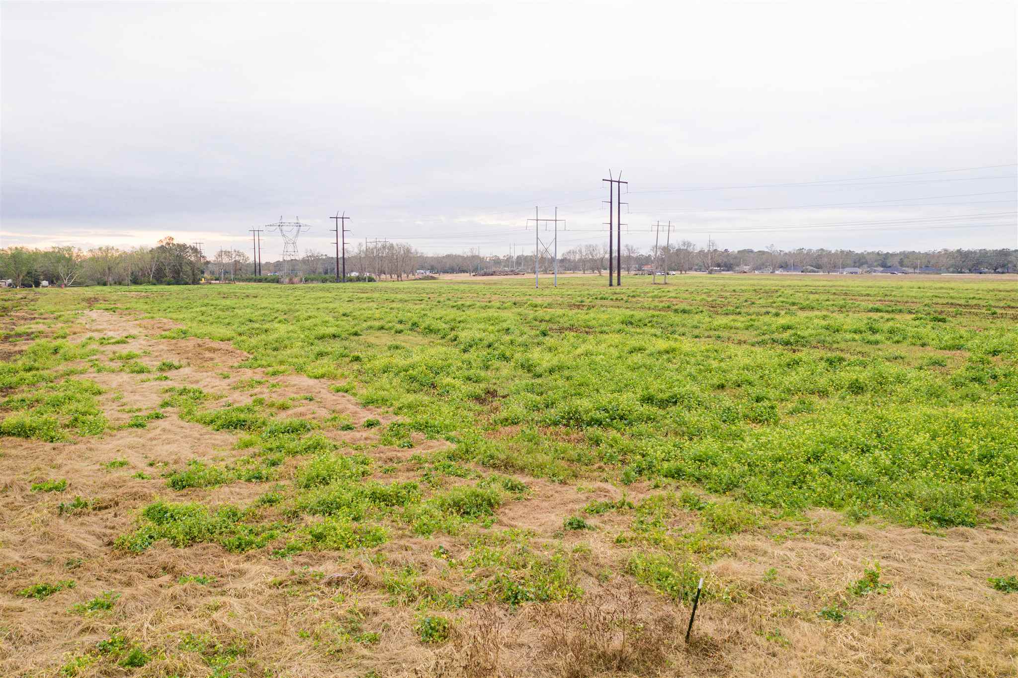 15334 North Boulevard Silverhill, AL 36576 - Photo 5 of 5