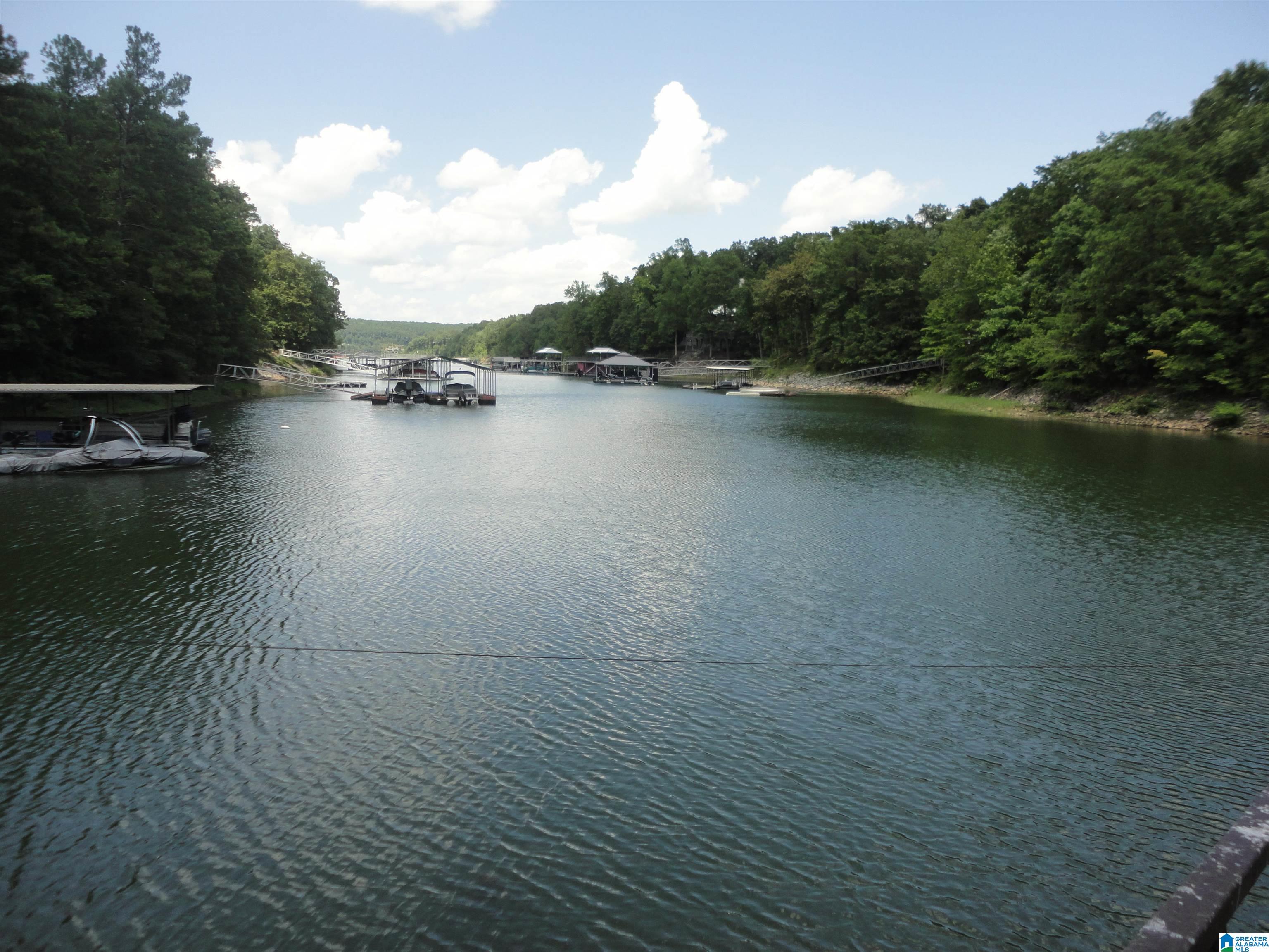 855 County Road 147 Bremen, AL 35033 - Photo 19 of 19