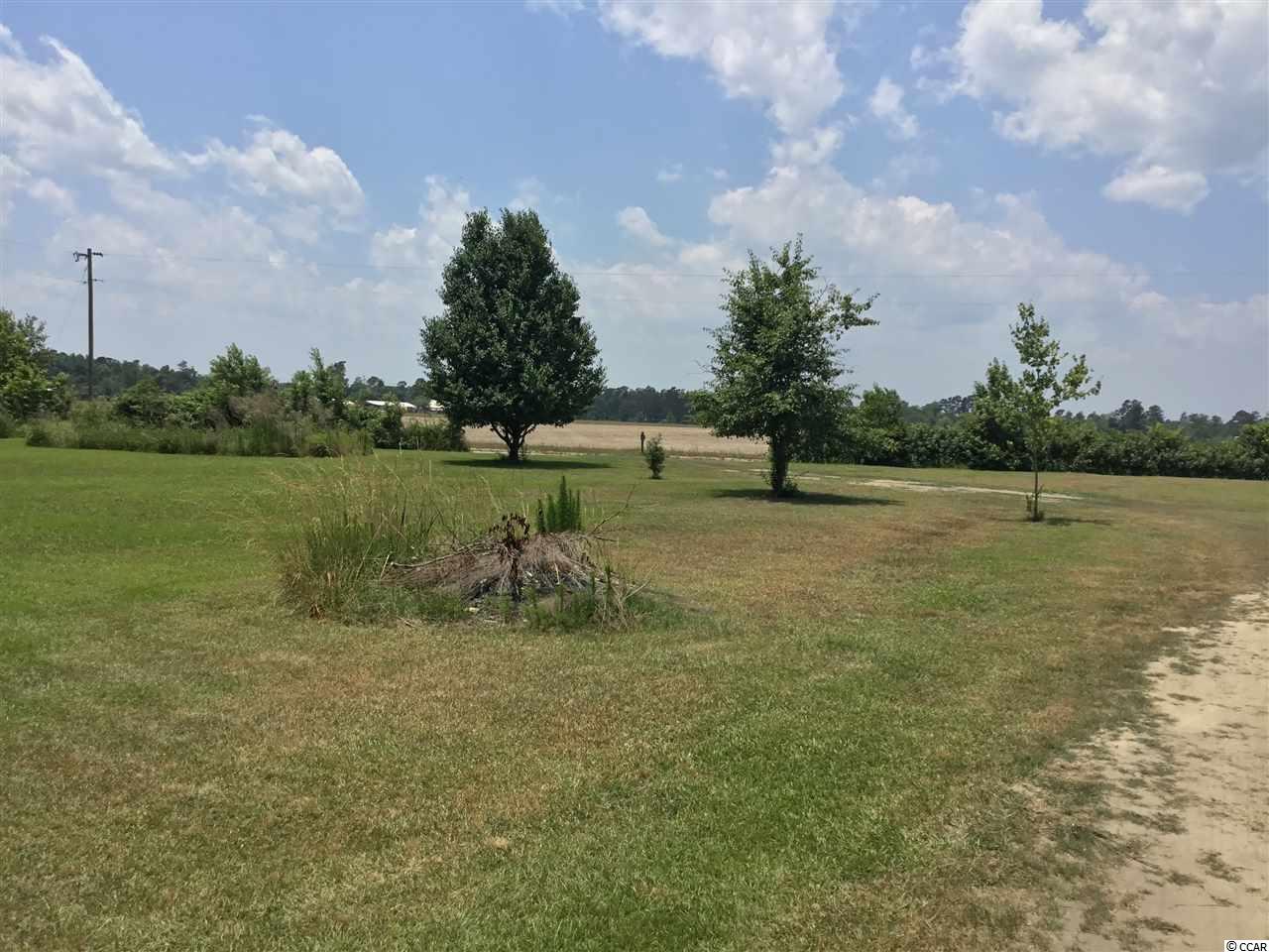 3018 Malcolm Road Marion, SC 29571 - Photo 6 of 33 Gallery Image 6
