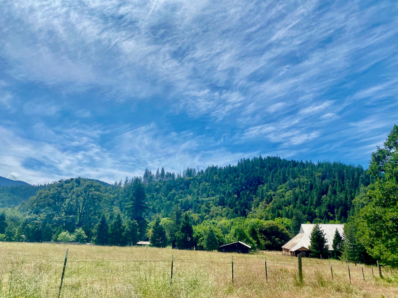 6901 Thompson Creek Road Jacksonville, OR 97530 - Photo 13 of 88 6901 Thompson Crk