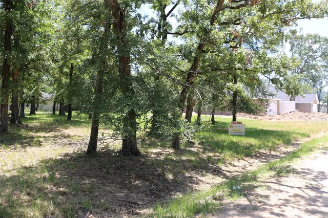 a view of a tree in a yard
