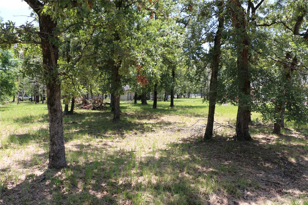 6 Deer Run Star Harbor, TX 75148 - Photo 3 of 3 a view of a yard with a tree