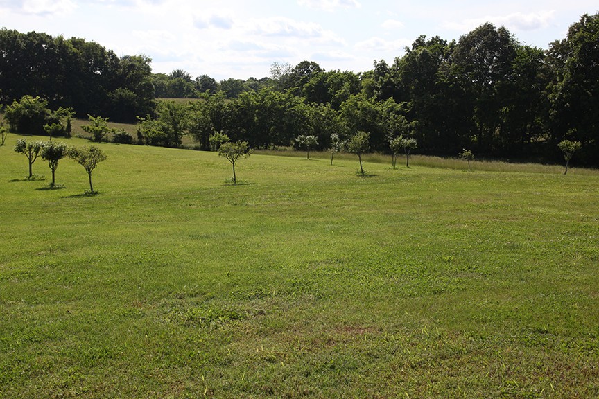 1047 Mooneyhan Road Springfield, TN 37172 - Photo 12 of 29 a view of a golf course with a park