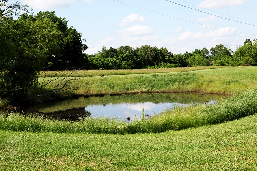 1047 Mooneyhan Road Springfield, TN 37172 - Photo 13 of 29 a view of lake with green space