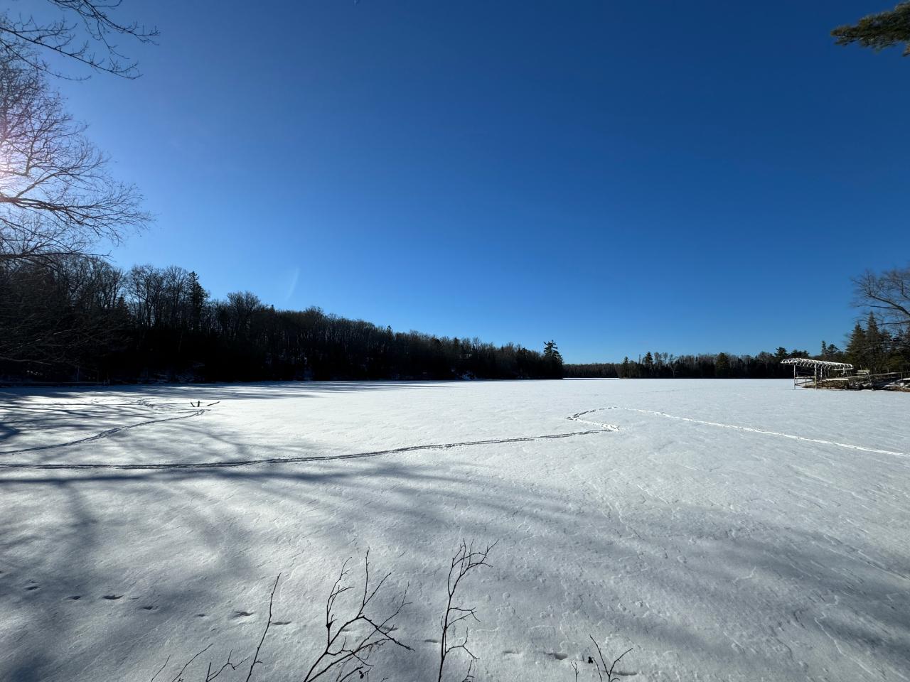 Lot 5 Fisher Lake Road Mercer, WI 54547 - Photo 5 of 11 Gallery Image 5