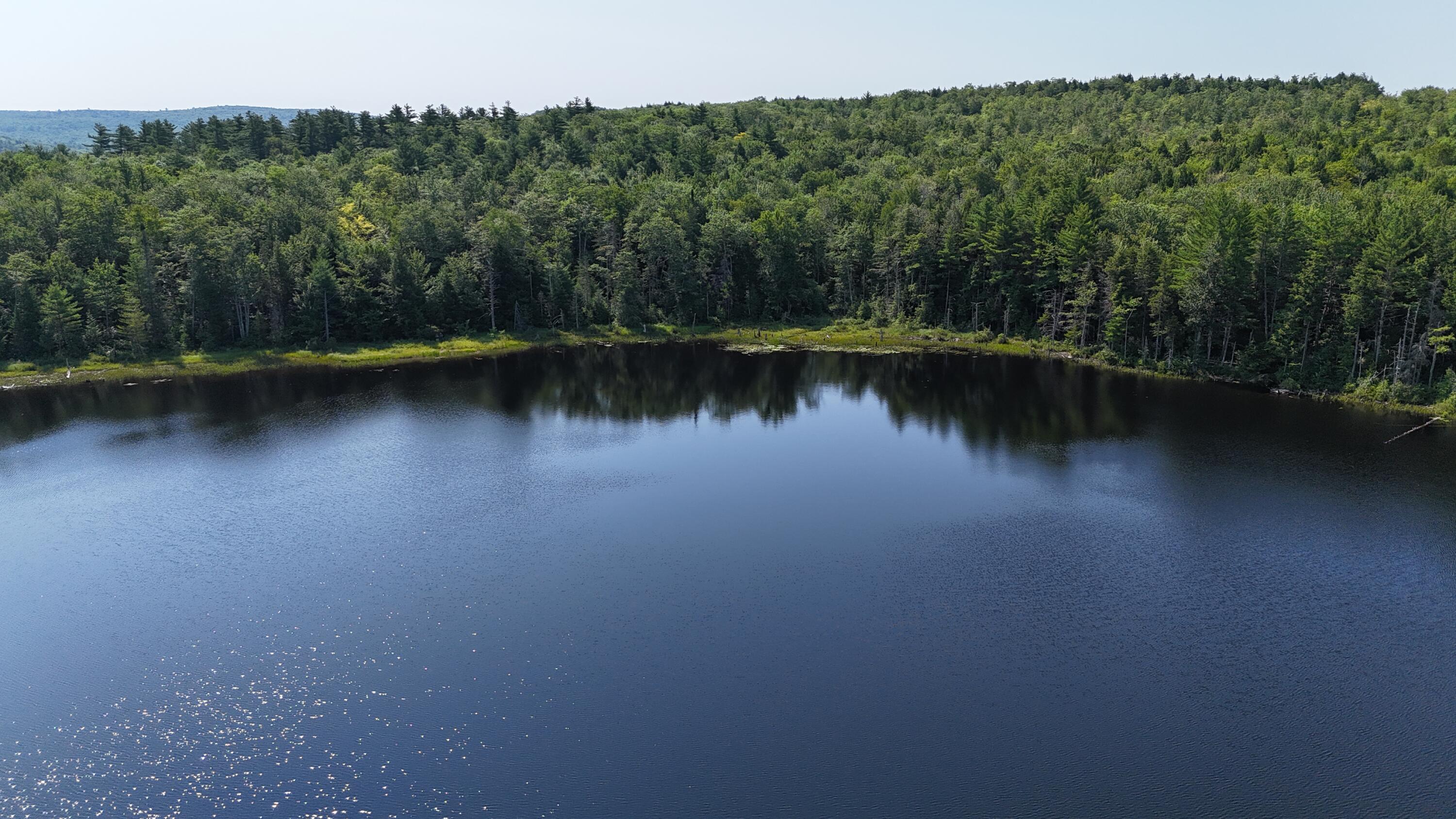 Lot 83-84 Off Jesse Ladd Road Vienna, ME 04360 - Photo 30 of 46 26acresOnDavisPond (20)