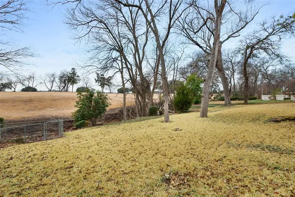 a street view with large trees