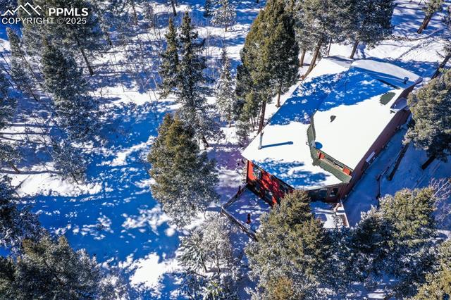 847 Ridge Road Divide, CO 80814 - Photo 7 of 7