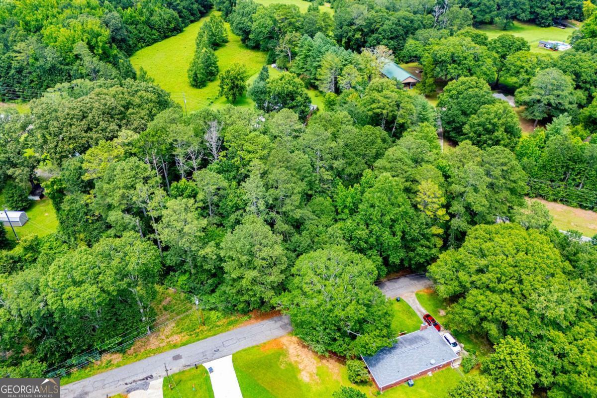 0 Pleasant Ridge Church Road Carrollton, GA 30117 - Photo 23 of 26