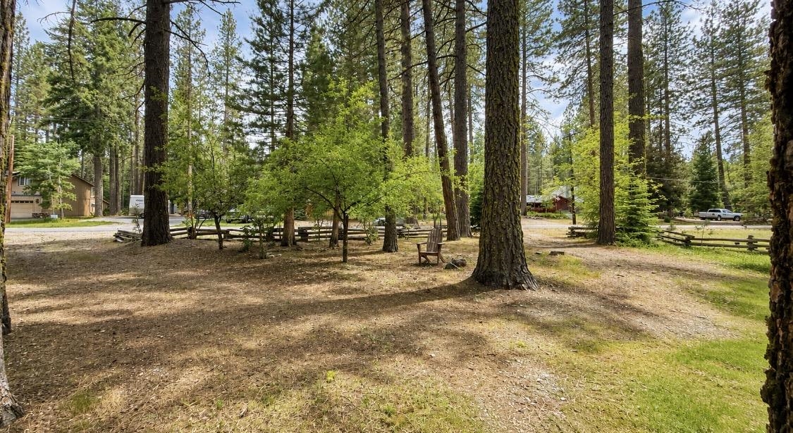 204 Poplar Valley Road Blairsden, CA 96103 - Photo 48 of 49