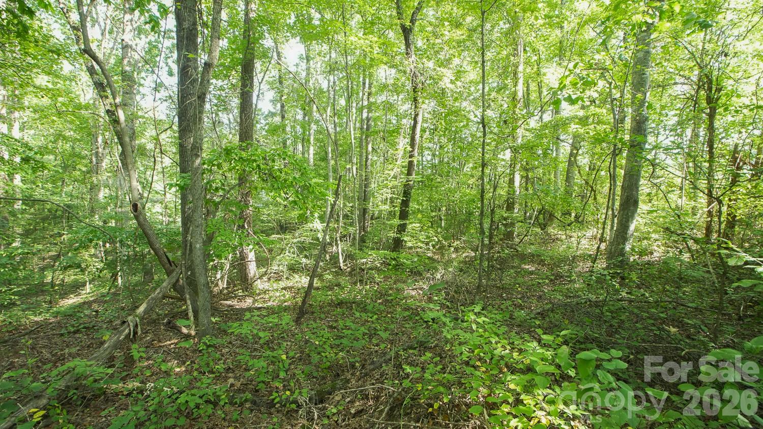 0 Beargrass Road Sherrills Ford, NC 28673 - Photo 7 of 12 Gallery Image 7