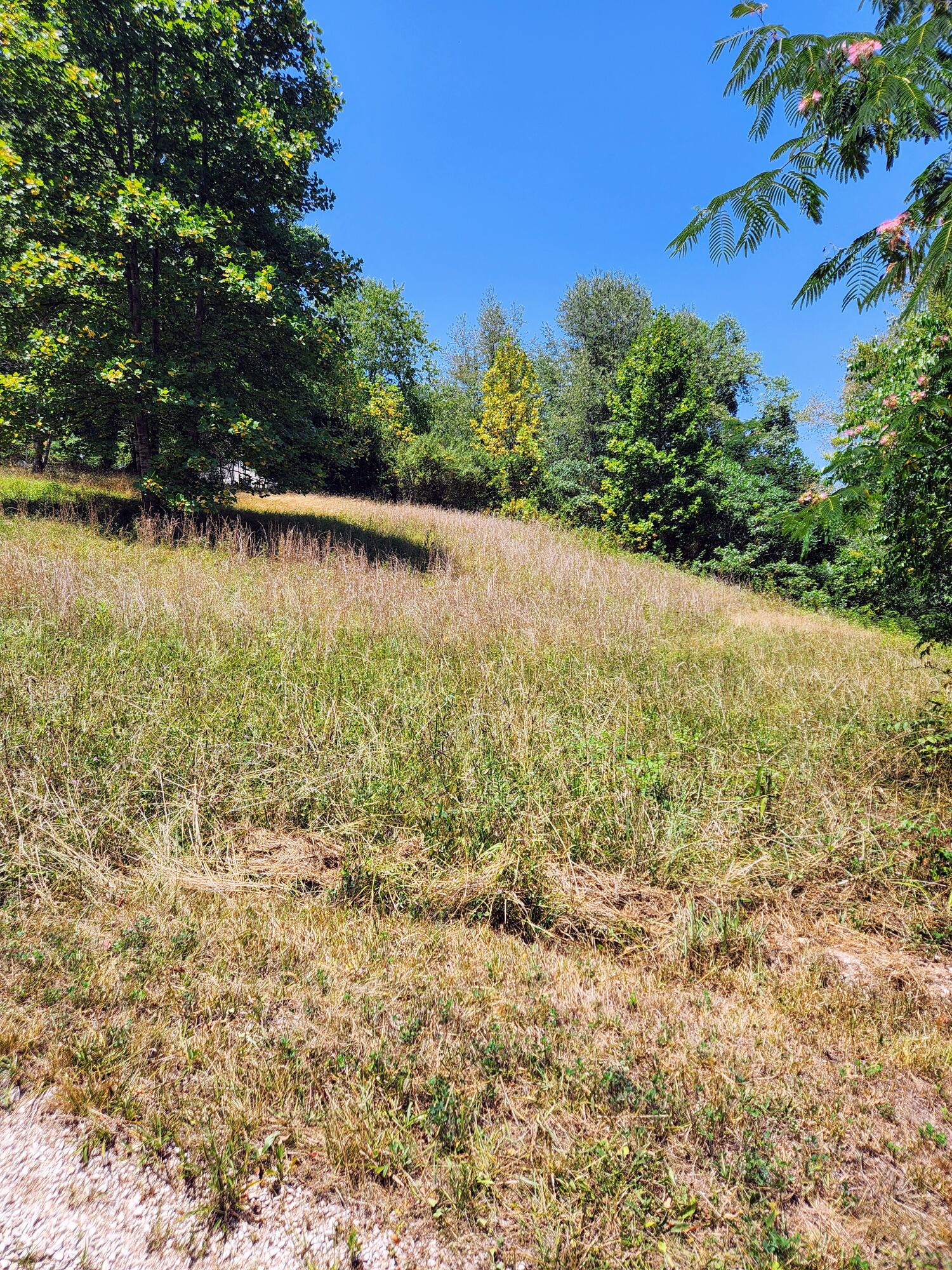 8159 Winchester Road Clay City, KY 40312 - Photo 6 of 23 Hwy 15 41