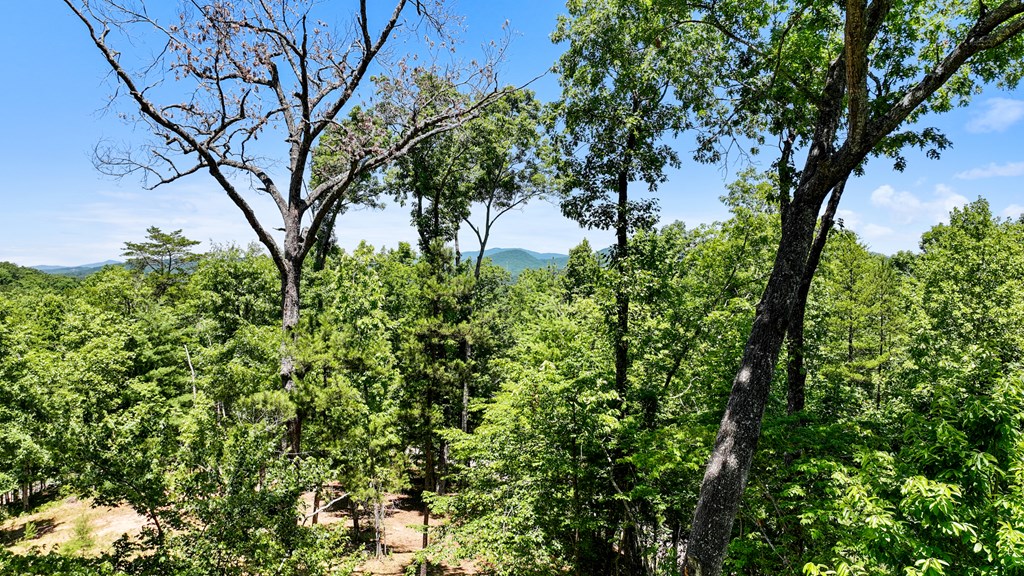 435 Turkey Trot Road Morganton, GA 30560 - Photo 14 of 60 Gallery Image 14