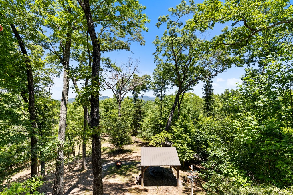 435 Turkey Trot Road Morganton, GA 30560 - Photo 20 of 60 Gallery Image 20