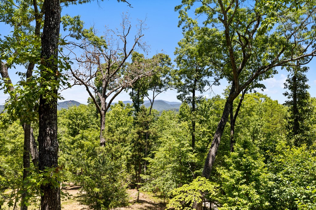 435 Turkey Trot Road Morganton, GA 30560 - Photo 21 of 60 Gallery Image 21