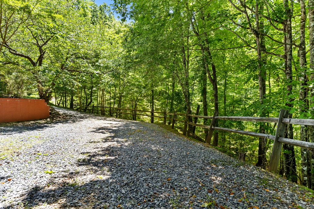 435 Turkey Trot Road Morganton, GA 30560 - Photo 46 of 60 Gallery Image 46
