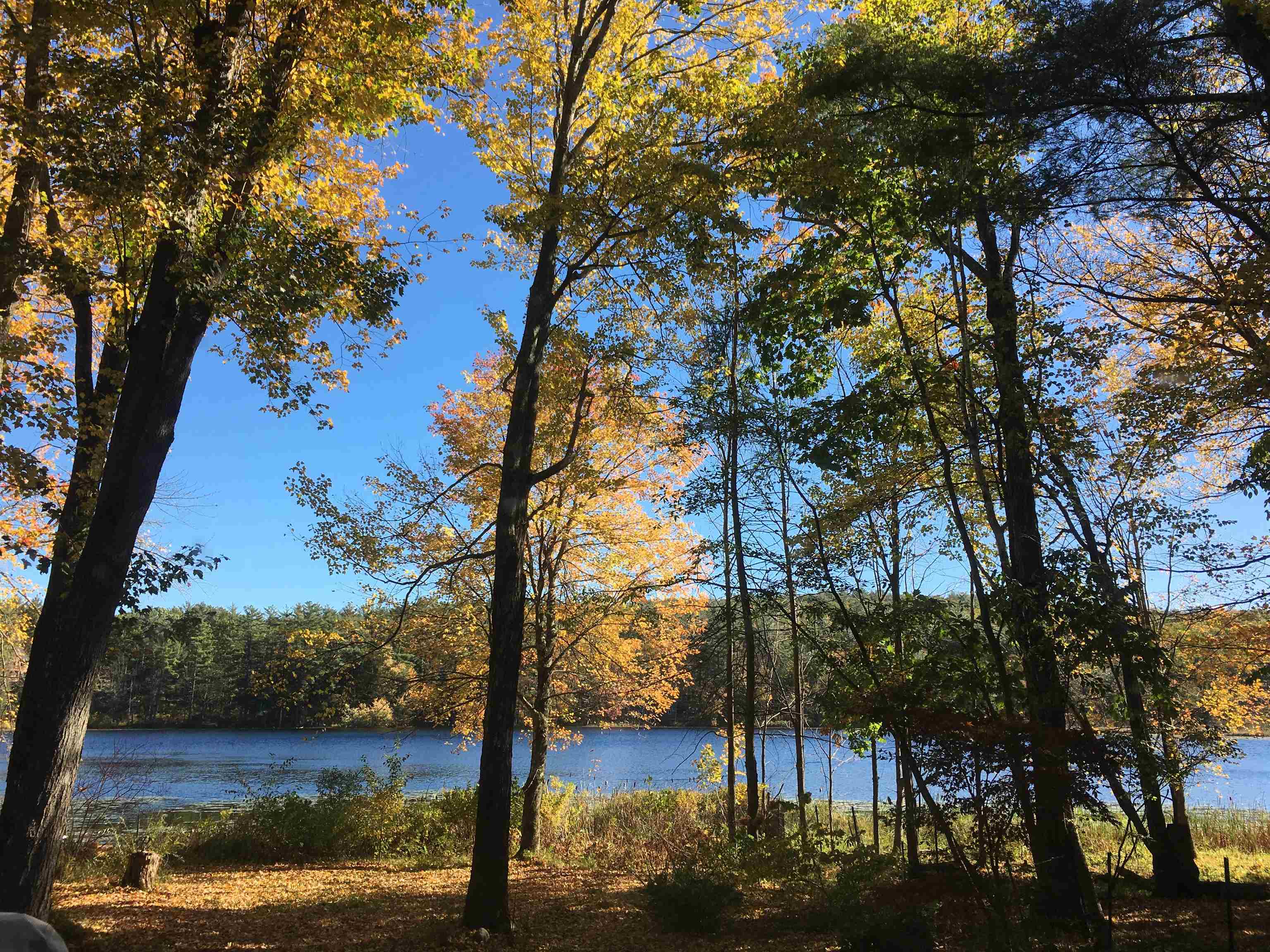 54 Snow Pond Road Concord, NH 03301 - Photo 32 of 40