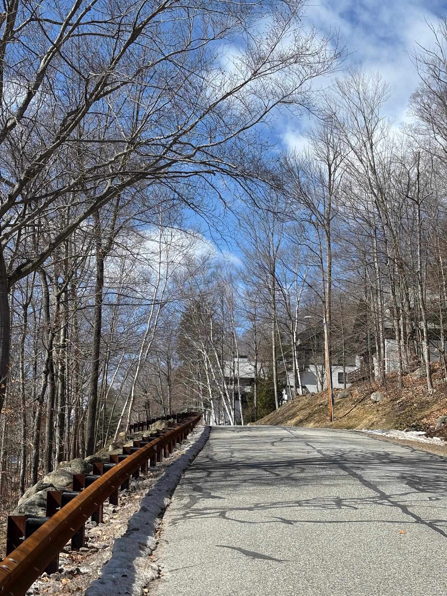 3 Blueberry Road Lincoln, NH 03251 - Photo 2 of 9