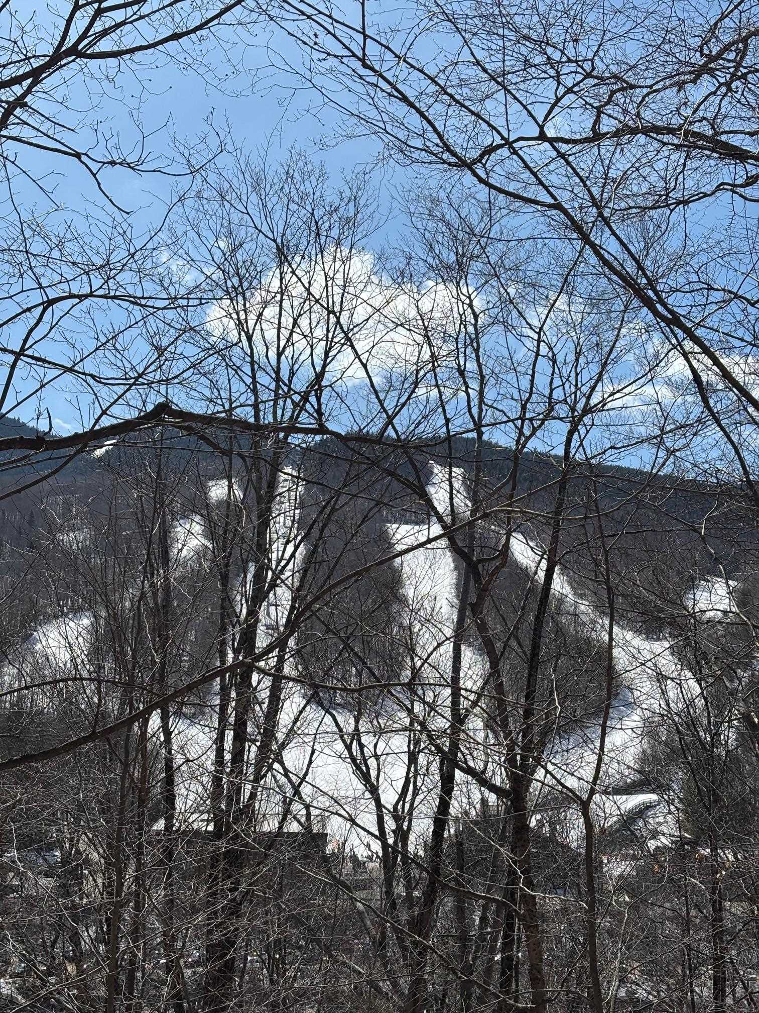 3 Blueberry Road Lincoln, NH 03251 - Photo 3 of 9