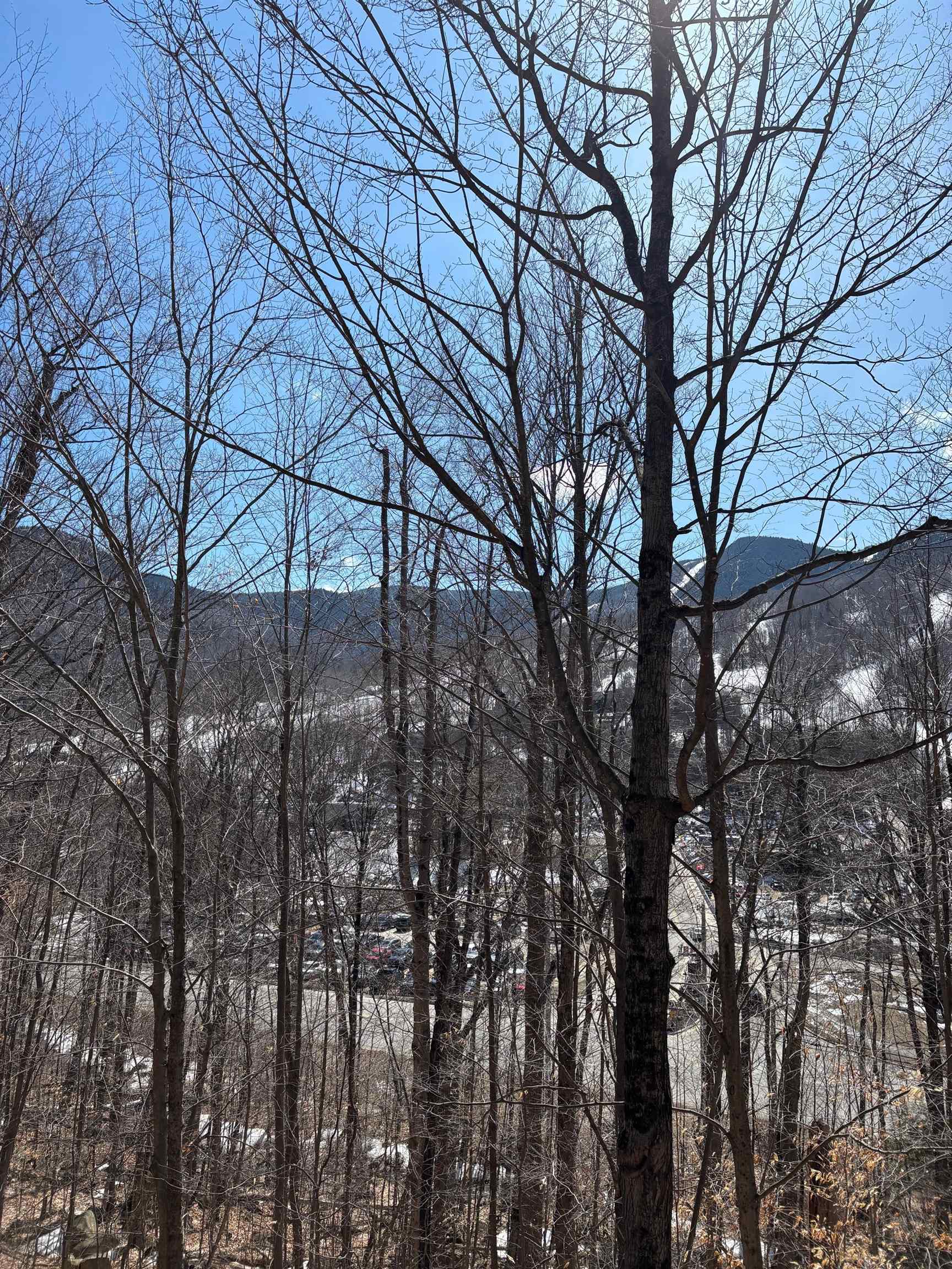 3 Blueberry Road Lincoln, NH 03251 - Photo 4 of 9