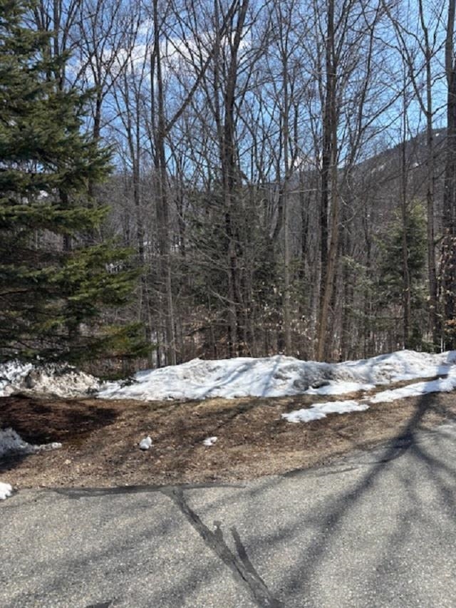 3 Blueberry Road Lincoln, NH 03251 - Photo 5 of 9