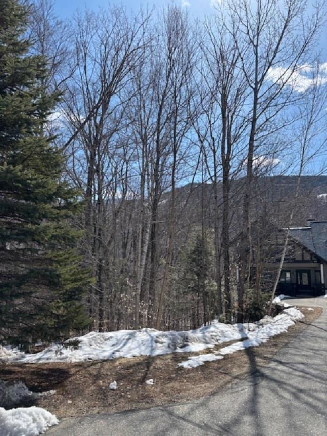 3 Blueberry Road Lincoln, NH 03251 - Photo 7 of 9