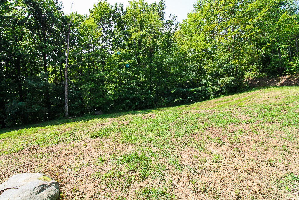 1468 Laurel Road Gatlinburg, TN 37738 - Photo 10 of 40 Gallery Image 10