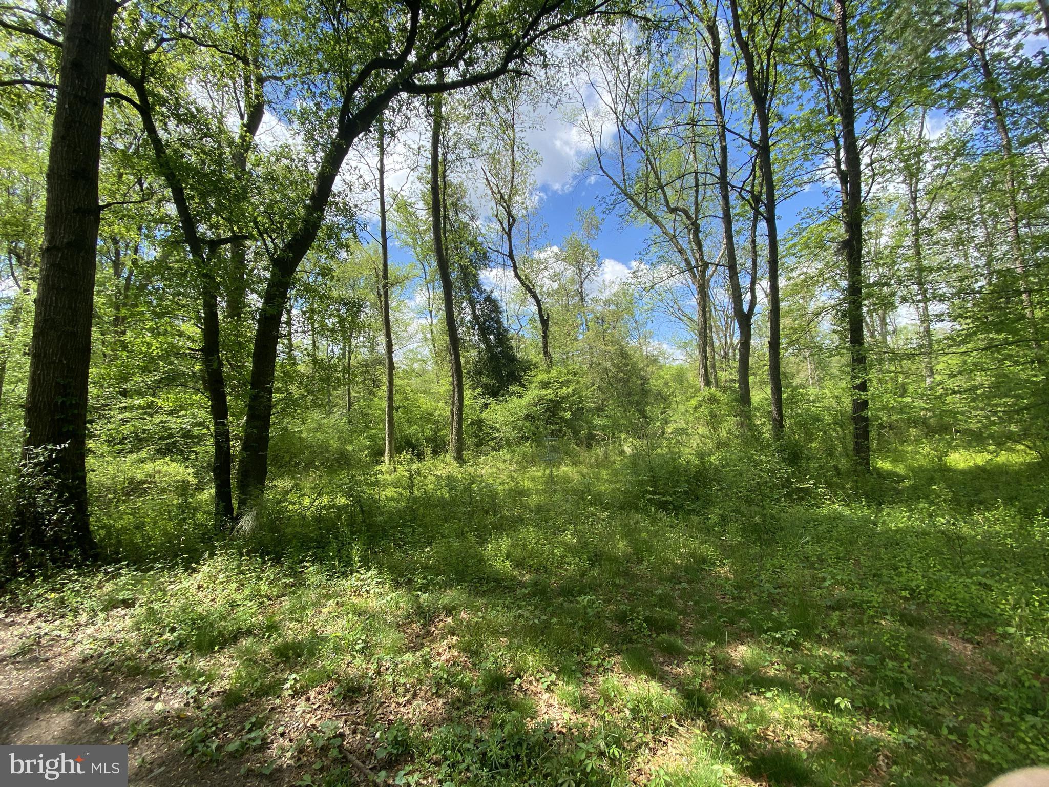 12845 Old Furnace Road Georgetown, DE 19947 - Photo 1 of 17 13 acres of beauty and nature. Serene and Private