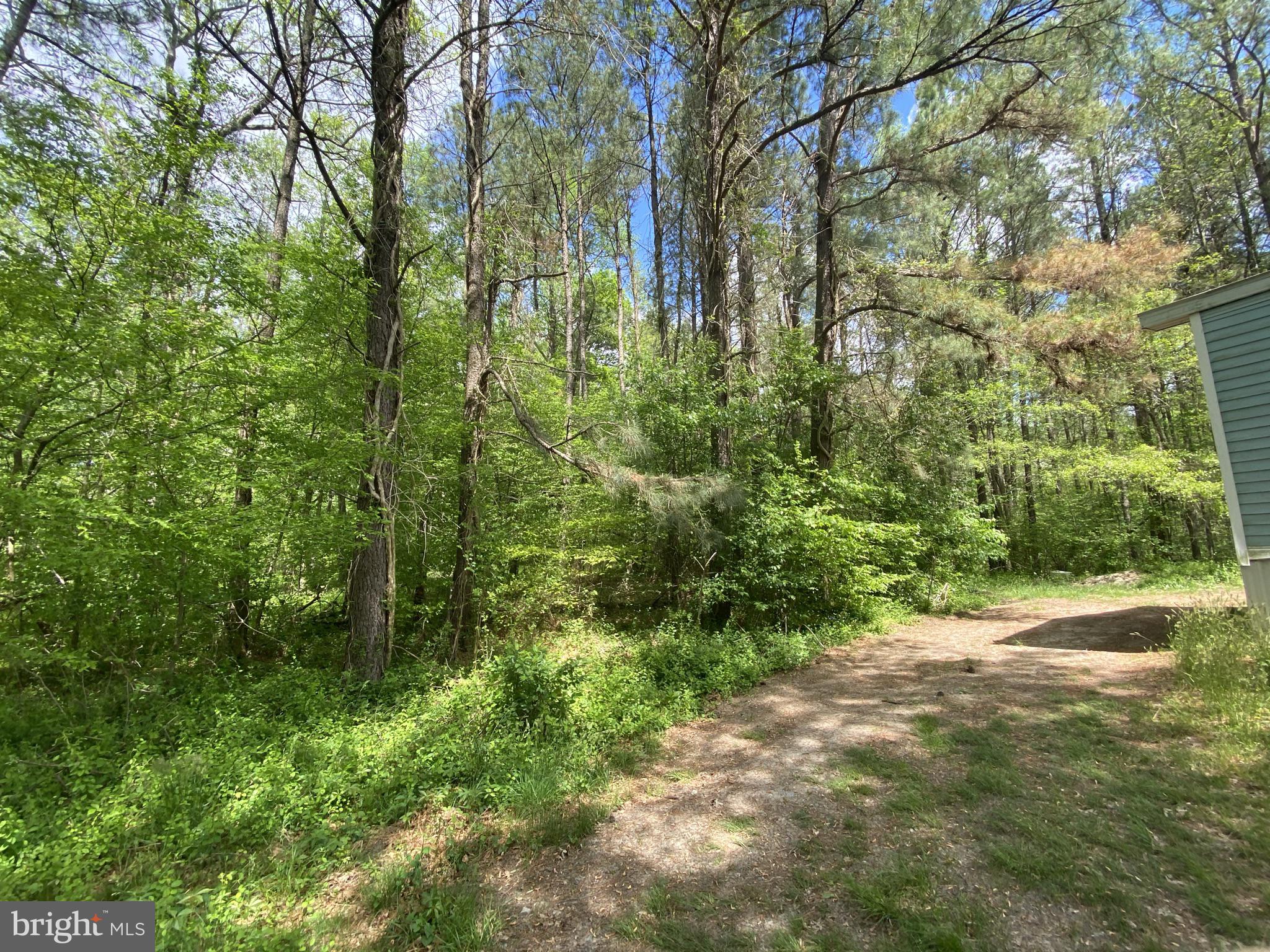 12845 Old Furnace Road Georgetown, DE 19947 - Photo 2 of 17 Great for hunting & FIshing!