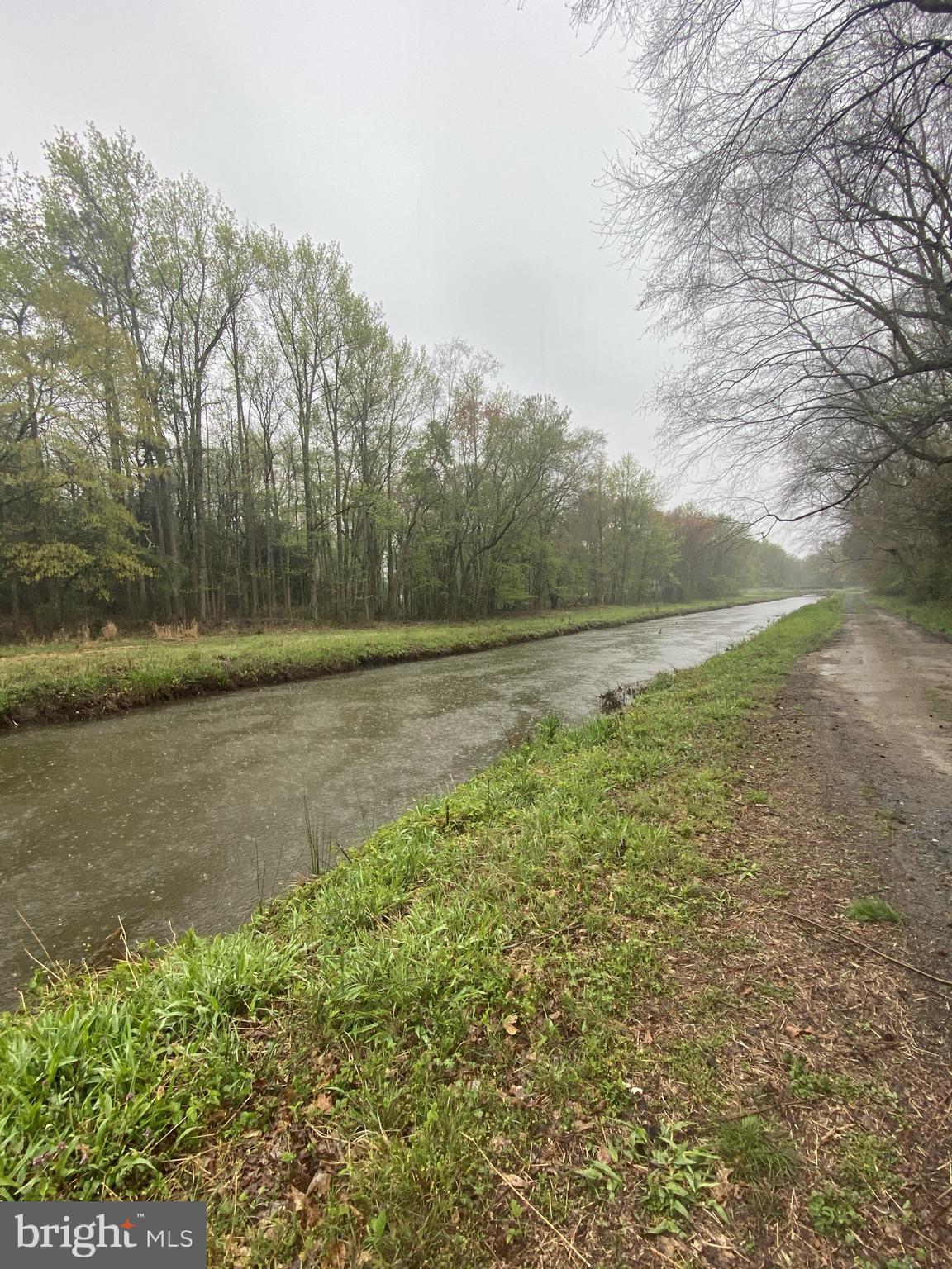 12845 Old Furnace Road Georgetown, DE 19947 - Photo 4 of 17 Beautiful stream flows down side of property