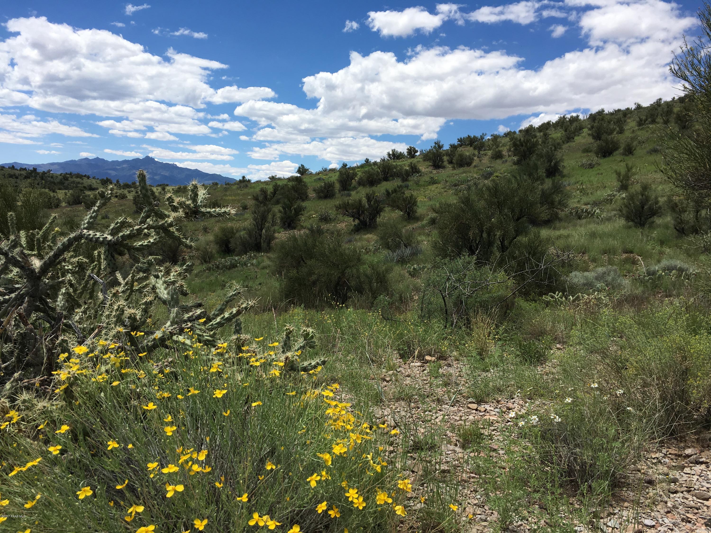 160-acres Harris Valley Ranch Road Seligman, AZ 86337 - Photo 1 of 5 2017-08-22 12.41.07
