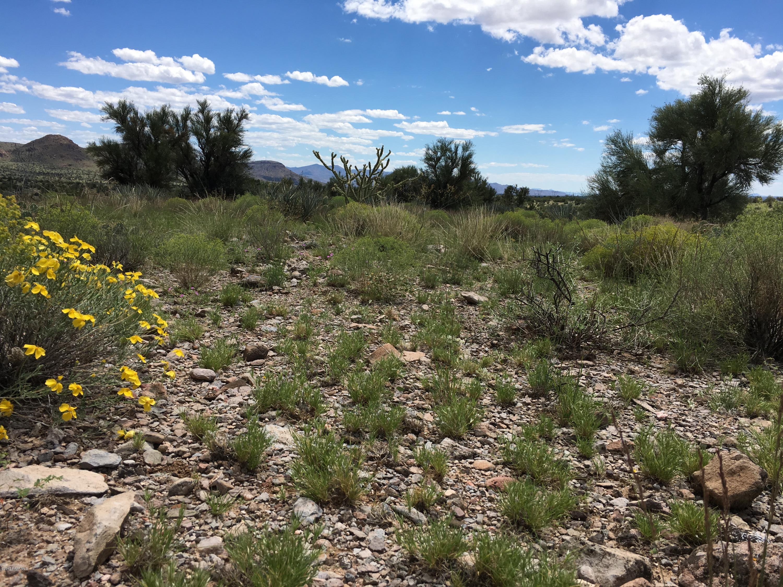160-acres Harris Valley Ranch Road Seligman, AZ 86337 - Photo 2 of 5 2017-08-22 12.41.34