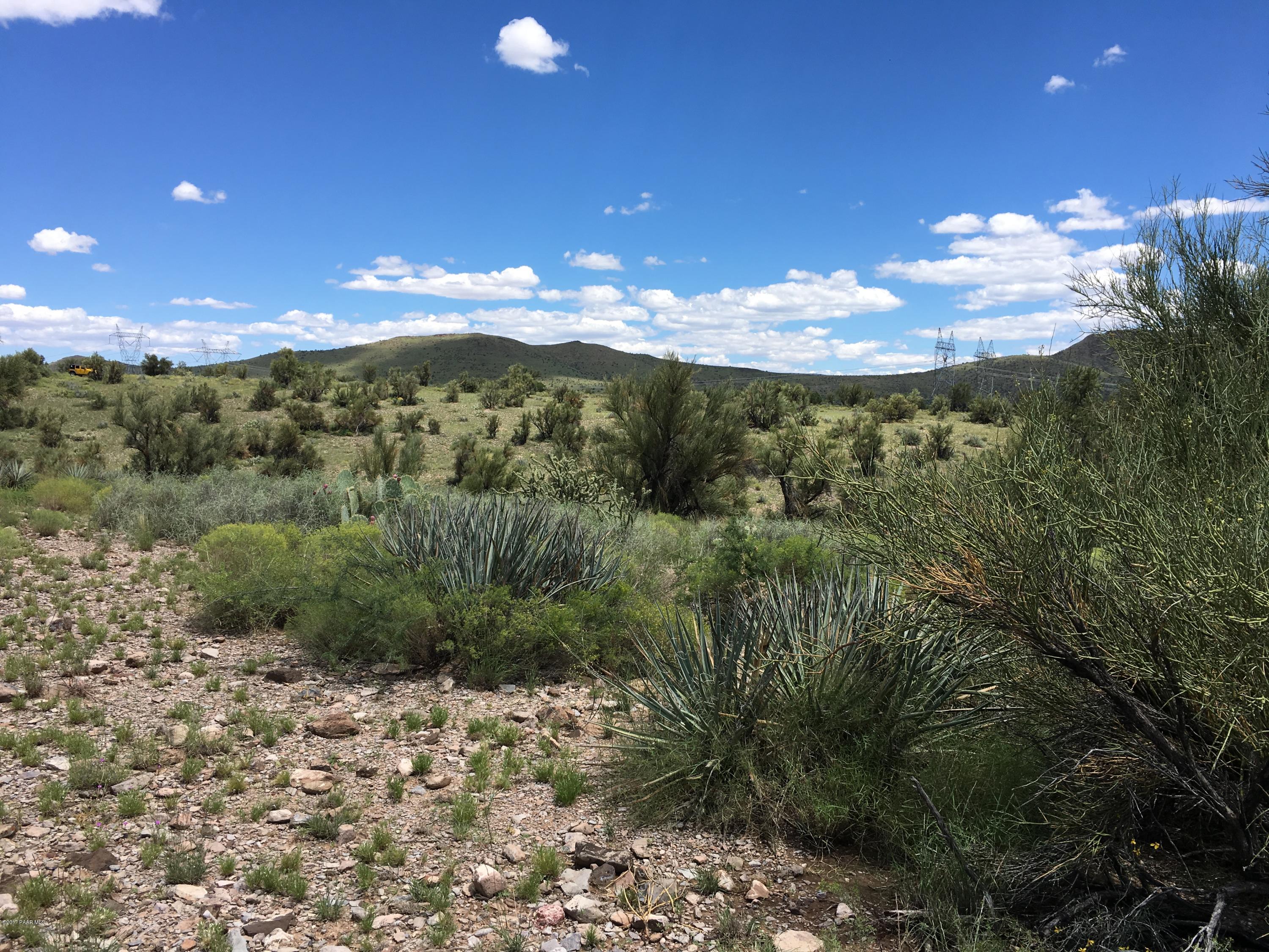160-acres Harris Valley Ranch Road Seligman, AZ 86337 - Photo 3 of 5 2017-08-22 12.44.26